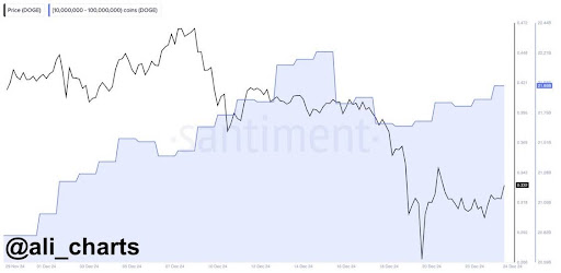 Dogecoin Whale Continues to Buy 270 Million Dogecoins as Market Crash Provides Low Entry Rate