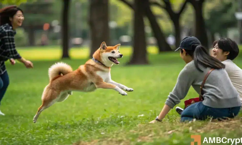 Shiba Inu\