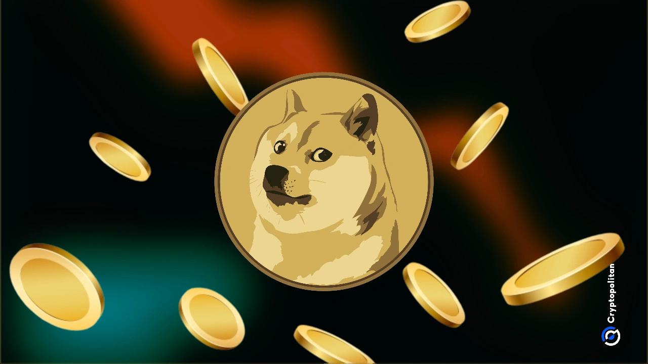 A Critique by Bloomberg Analysts on Dogecoin and Altcoins