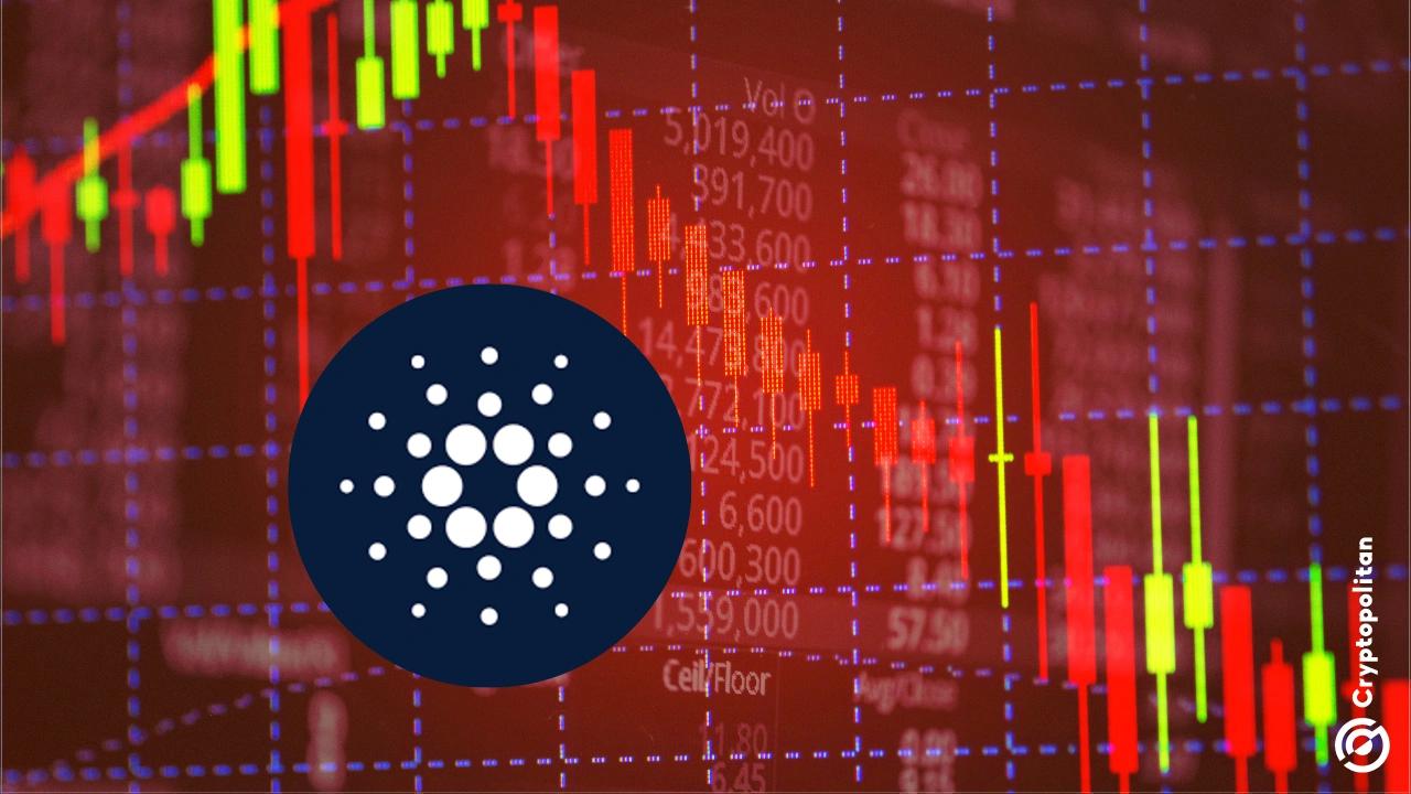 What is driving Cardano\