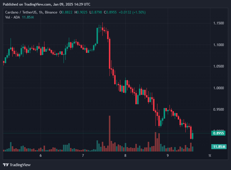 What is driving Cardano\