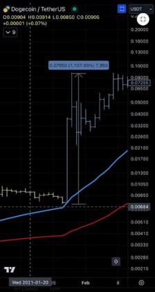 狗狗币价格反映2021年大选就职模式的情况：回顾过去的事件