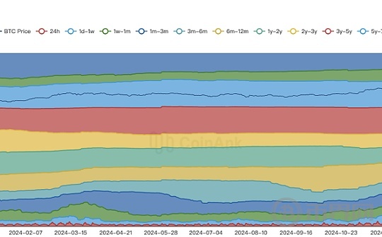 美元强势对全球市场的影响：BTC短期持有数量下降至11月中旬最低水平