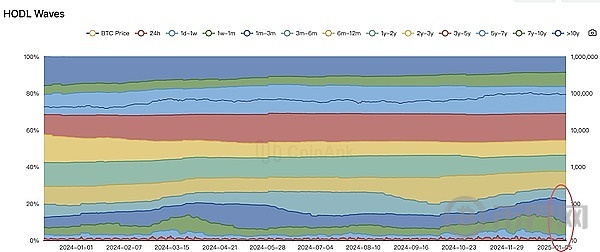 美元强势对全球市场的影响：BTC短期持有数量下降至11月中旬最低水平